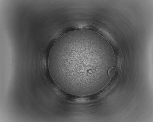 X0000116060461200911271246