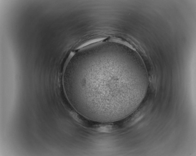 X0000116060462200911271246