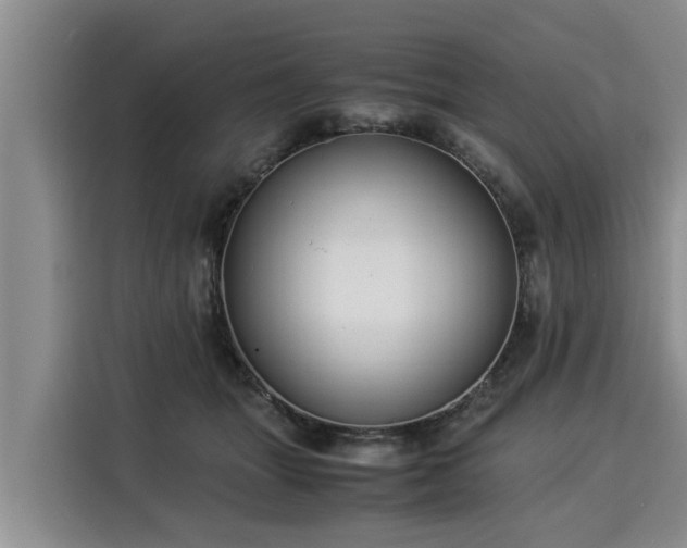 X0000116060463200911271246