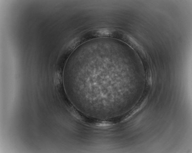 X0000116060467200911271246