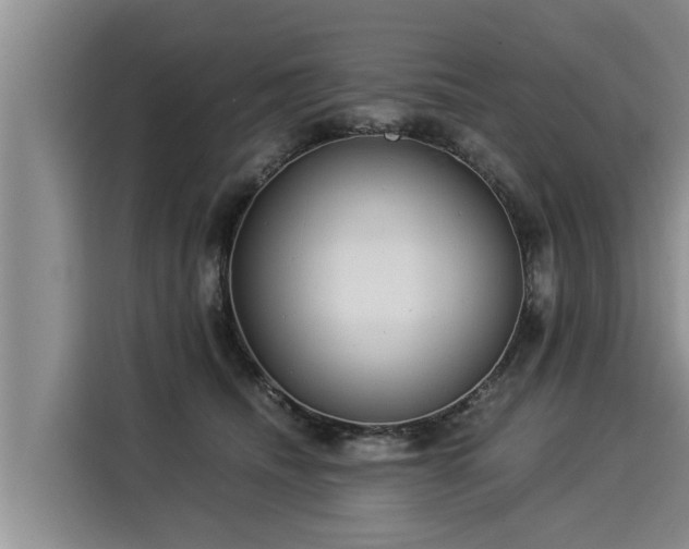 X0000116060468200911271246