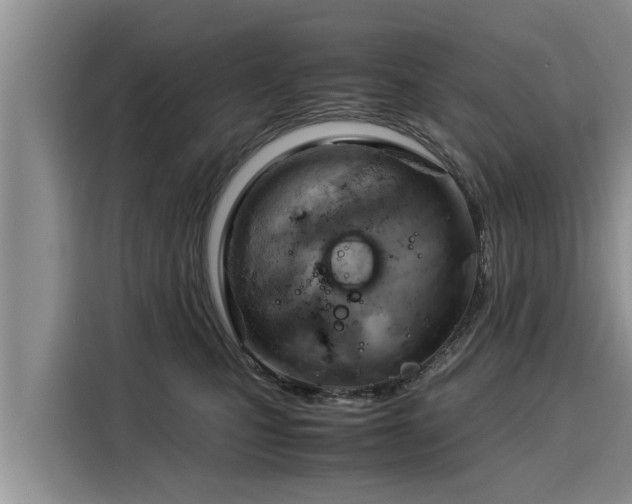 X0000116060471200911271246