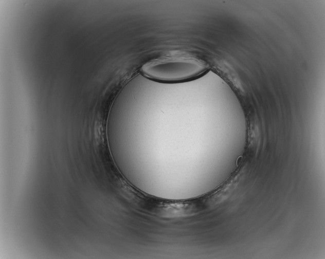 X0000116060473200911271246