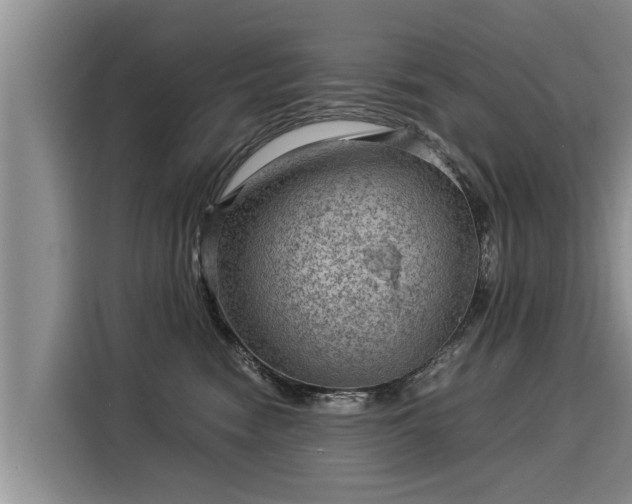 X0000116060474200911271246