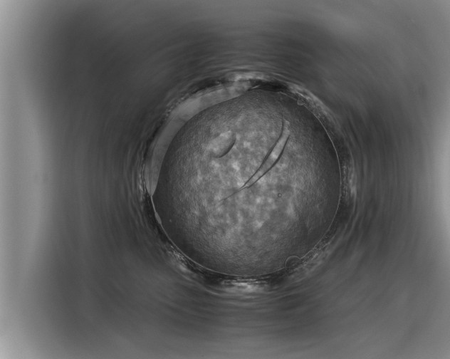 X0000116060475200911271246