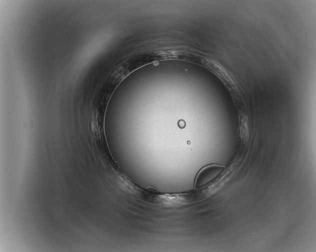 X0000116060477200911271246