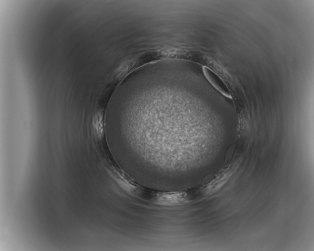 X0000116060479200911271246
