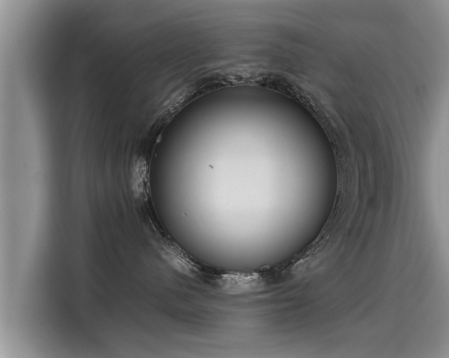 X0000116060480200911271246
