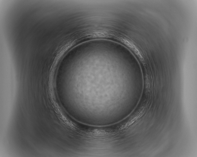 X0000116060481200911271246