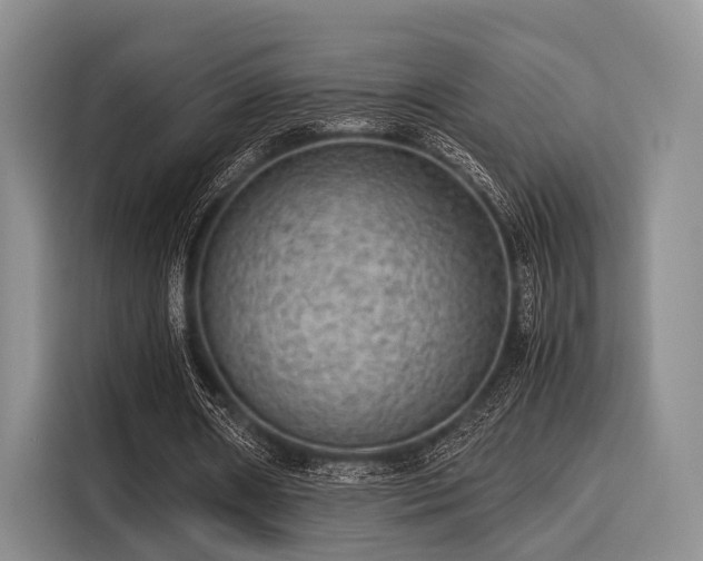 X0000116060482200911271246
