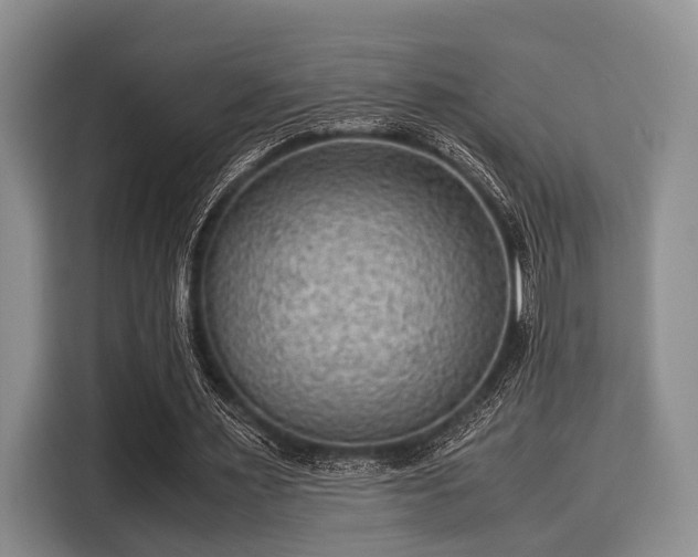 X0000116060483200911271246