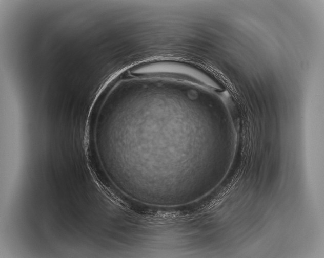 X0000116060484200911271246