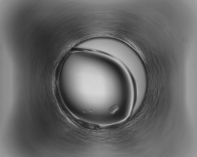 X0000116060485200911271246