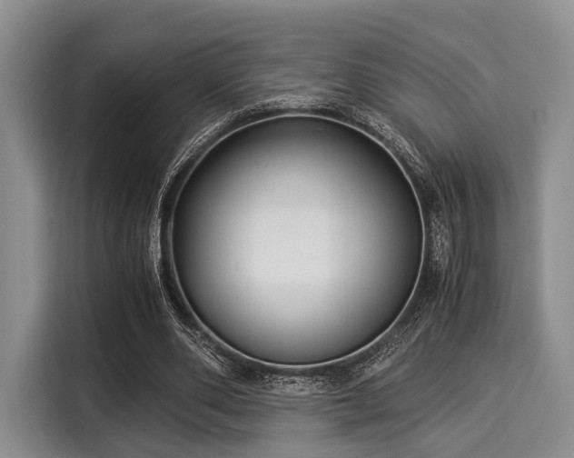 X0000116060486200911271246