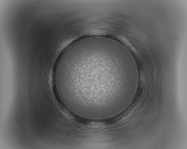 X0000116060487200911271246