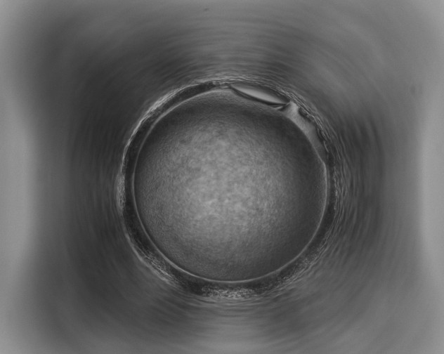 X0000116060488200911271245