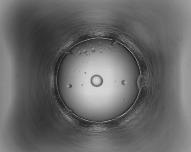 X0000116060489200911271245