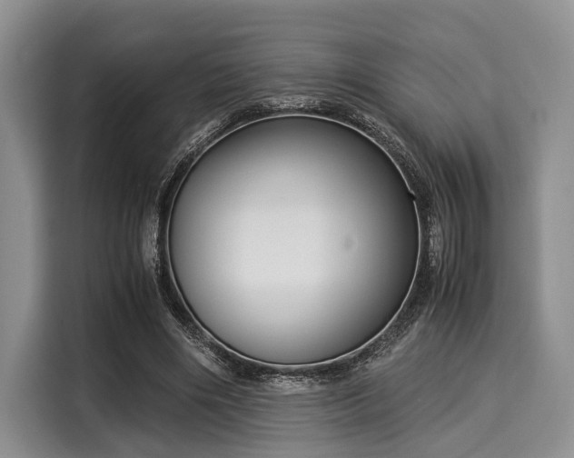 X0000116060490200911271245