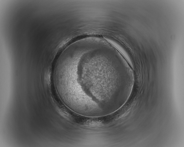 X0000116060491200911271245