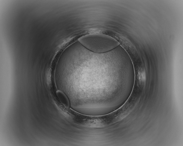 X0000116060492200911271245