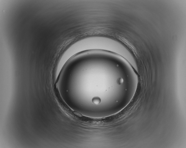 X0000116060493200911271245