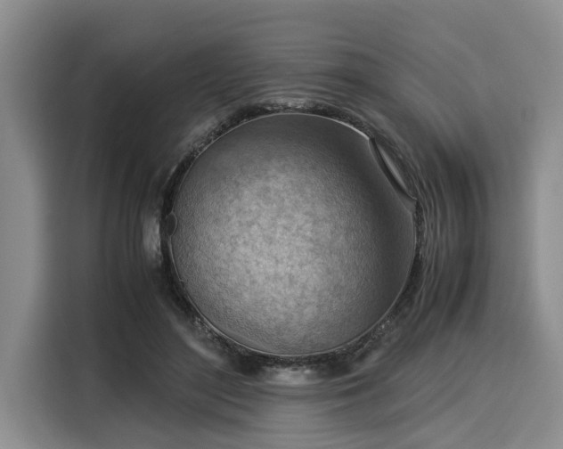 X0000116060500200911271245