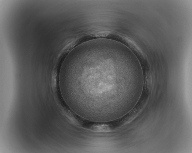 X0000116060501200911271245