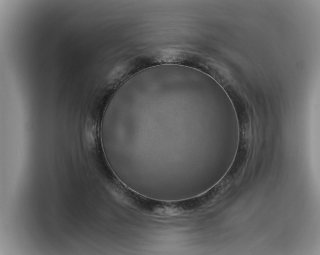 X0000116060503200911271245