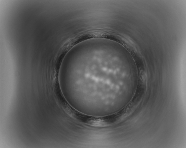X0000116060507200911271245