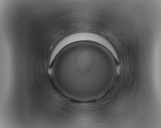 X0000116060508200911271245