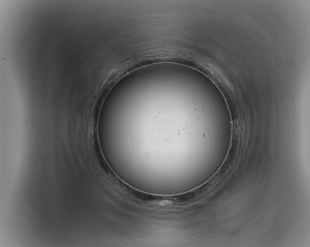 X0000116060509200911271245