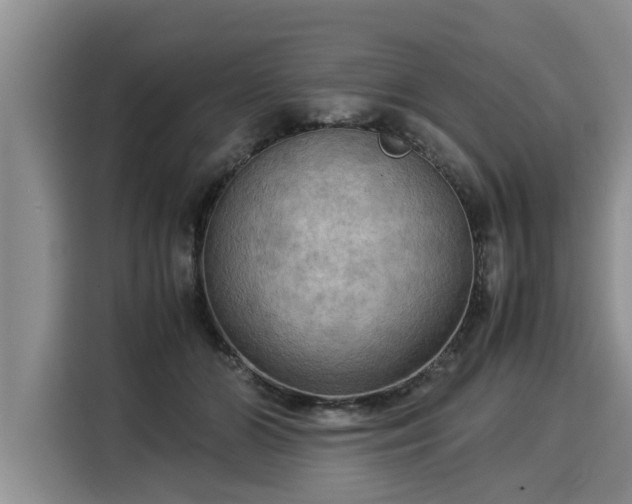 X0000116060510200911271245
