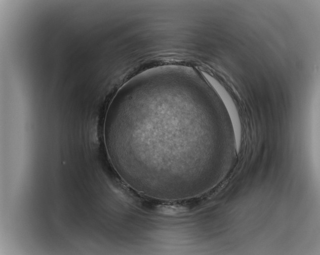 X0000116060512200911271245
