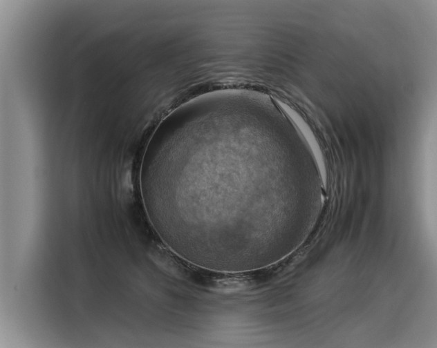 X0000116060516200911271245