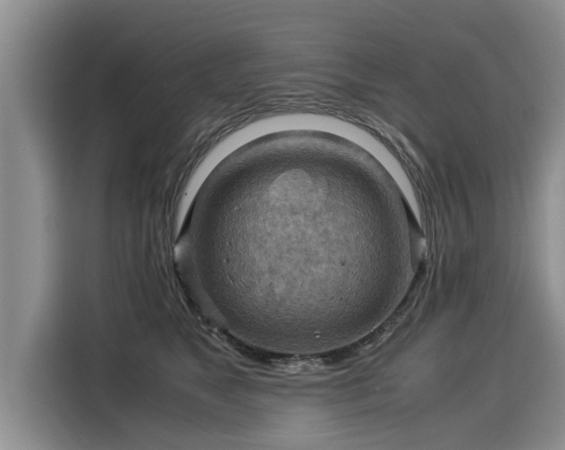 X0000116060517200911271245