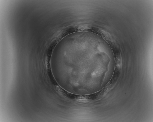 X0000116060519200911271245