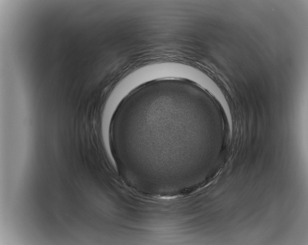 X0000116060520200911271245