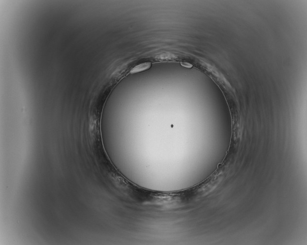 X0000116060521200911271245