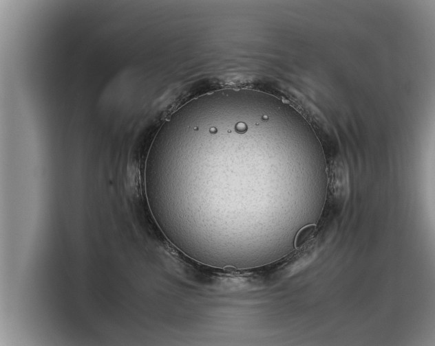 X0000116060523200911271245