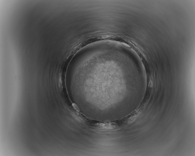 X0000116060524200911271245