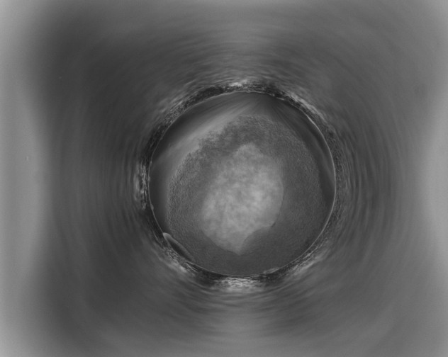 X0000116060528200911271245
