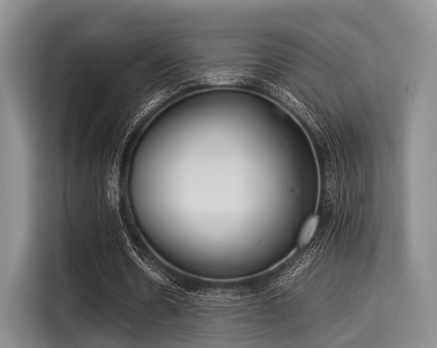 X0000116060530200911271244