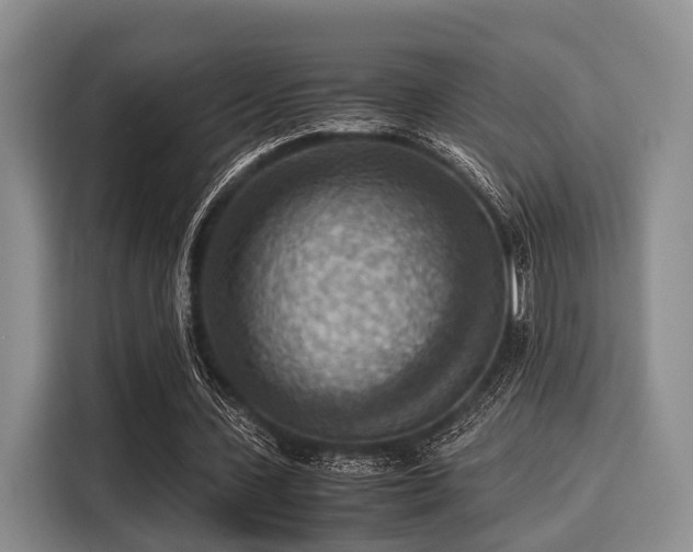 X0000116060531200911271244