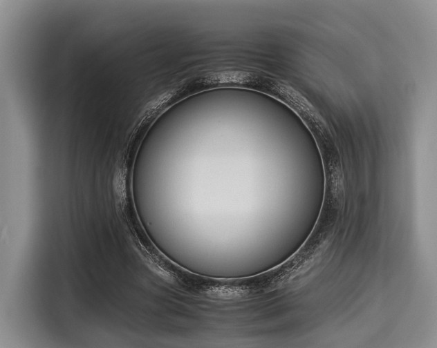 X0000116060537200911271244