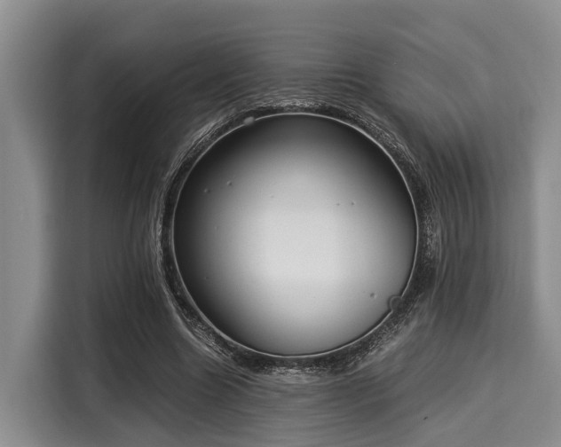 X0000116060538200911271244