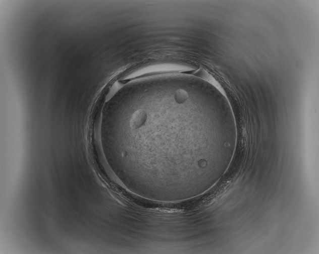X0000116060539200911271244