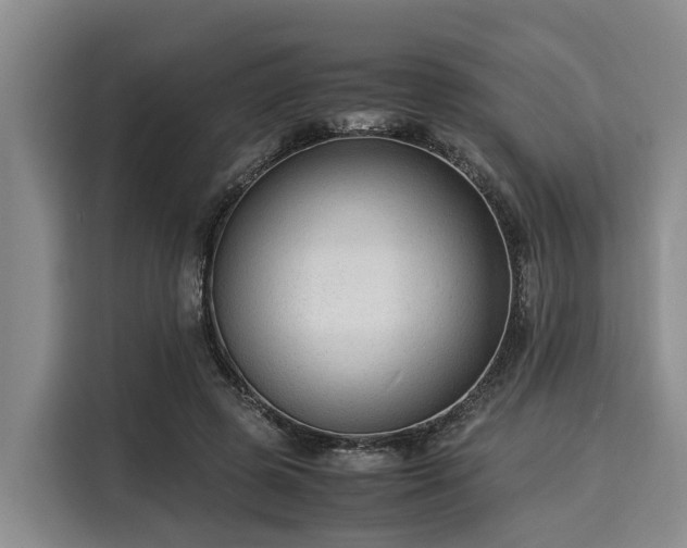 X0000116060545200911271245