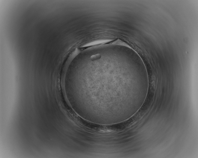 X0000116060547200911271245