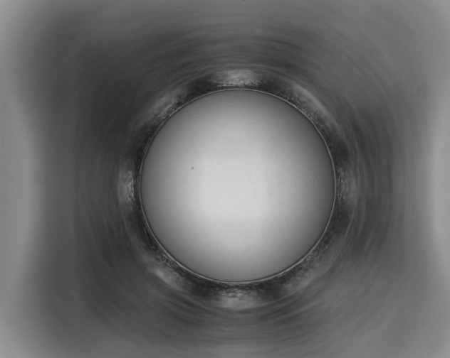 X0000116060549200911271245