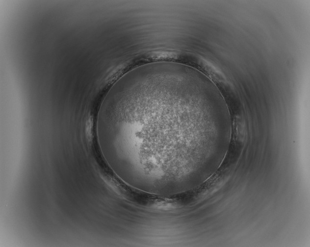 X0000116060550200911271245